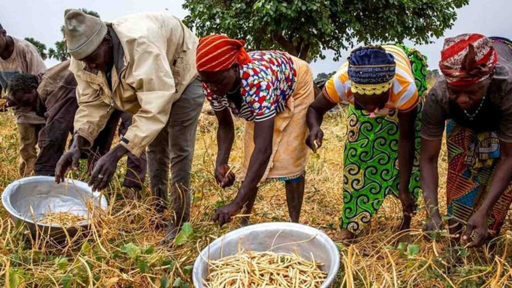 the small business ally website bg